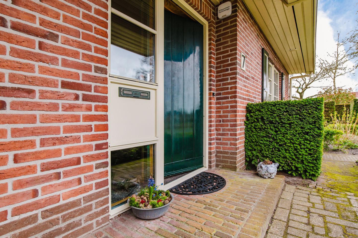 Foto 10 van Hoefblad 7