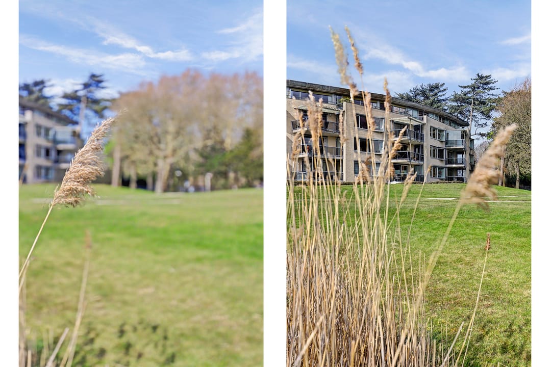 Photo 46 of Veldzigt 86