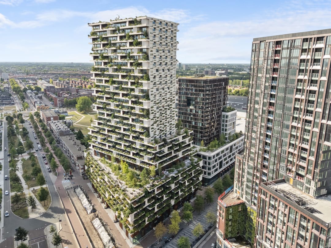 A rental house advertisment