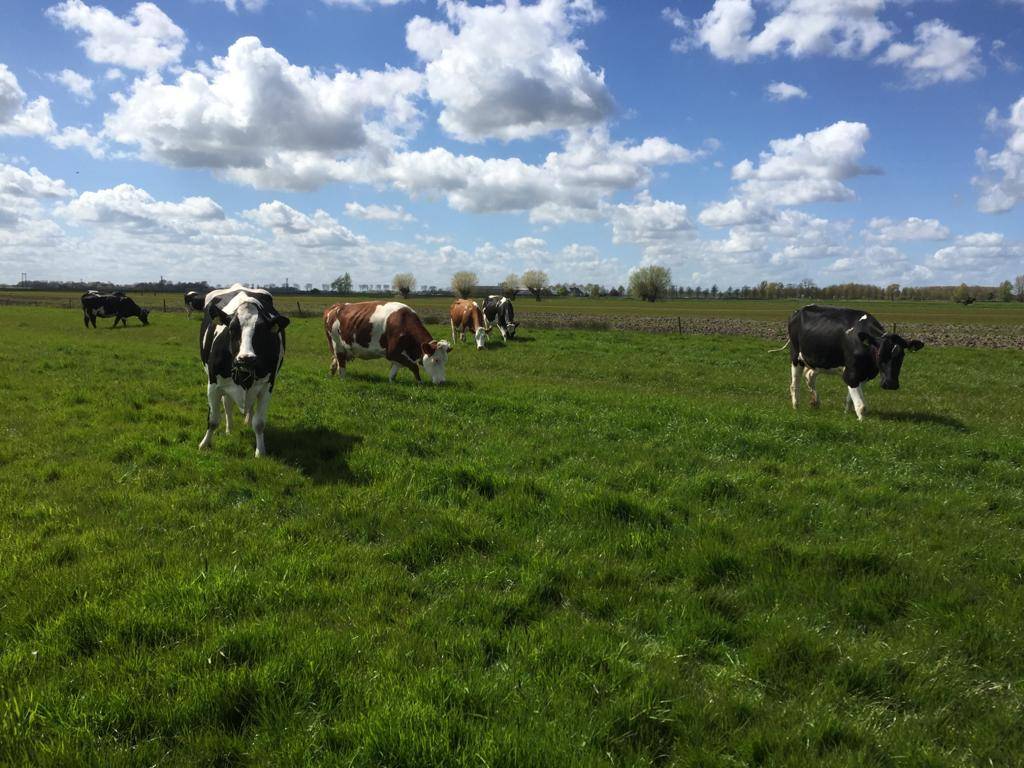 Foto 26 van Overeind 38-J