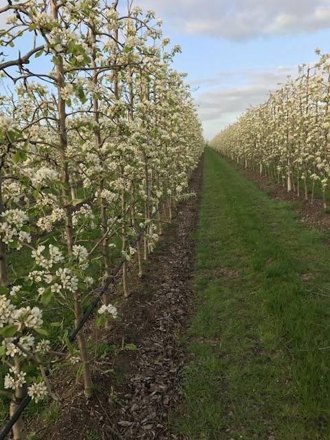 Foto 25 van Overeind 38-J