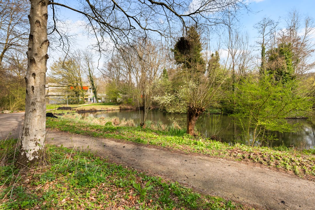 Foto 26 van Curieplaats 383