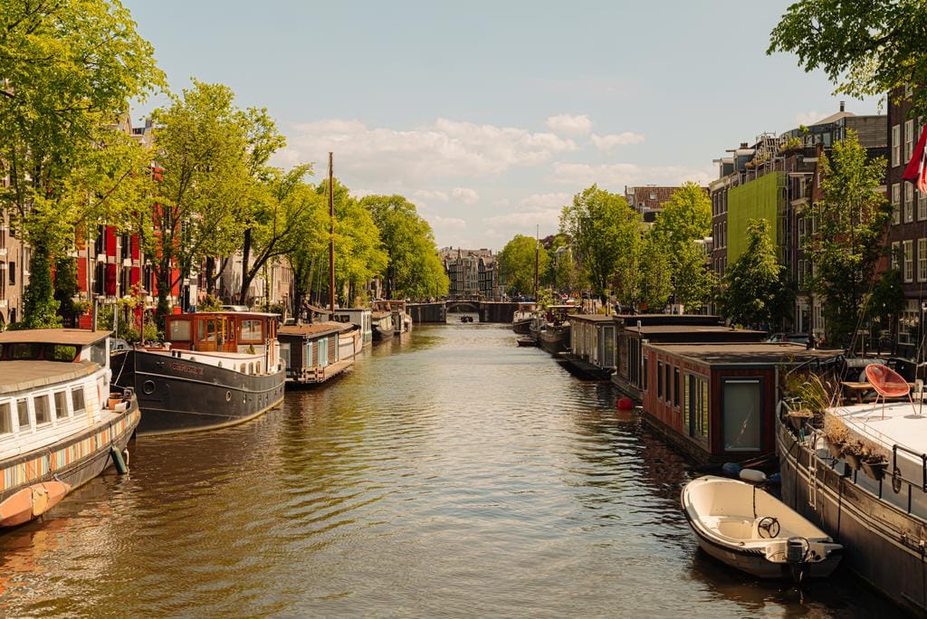 Photo 25 of Palmgracht 17-2