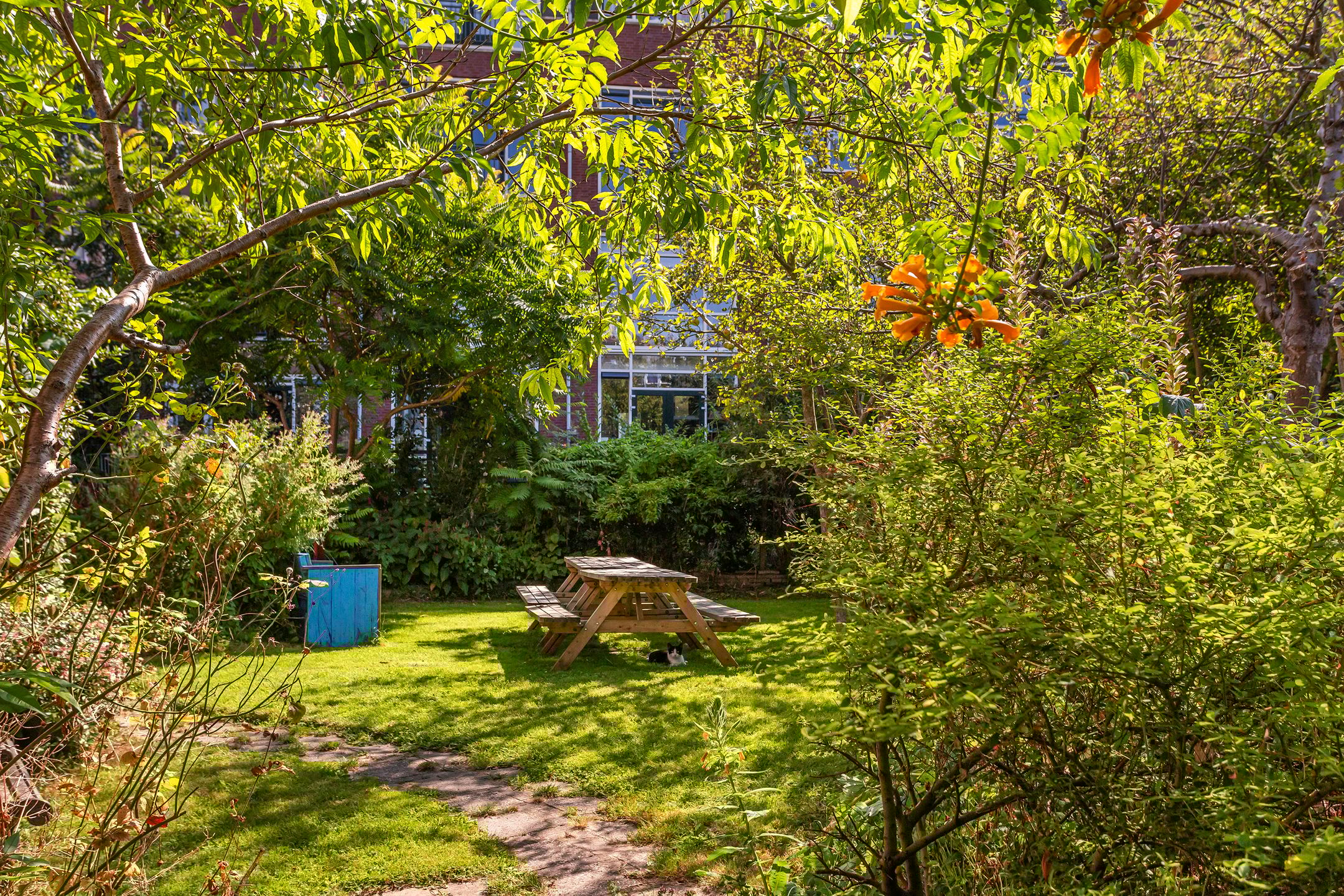 Foto 36 van Tolhuislaan 225