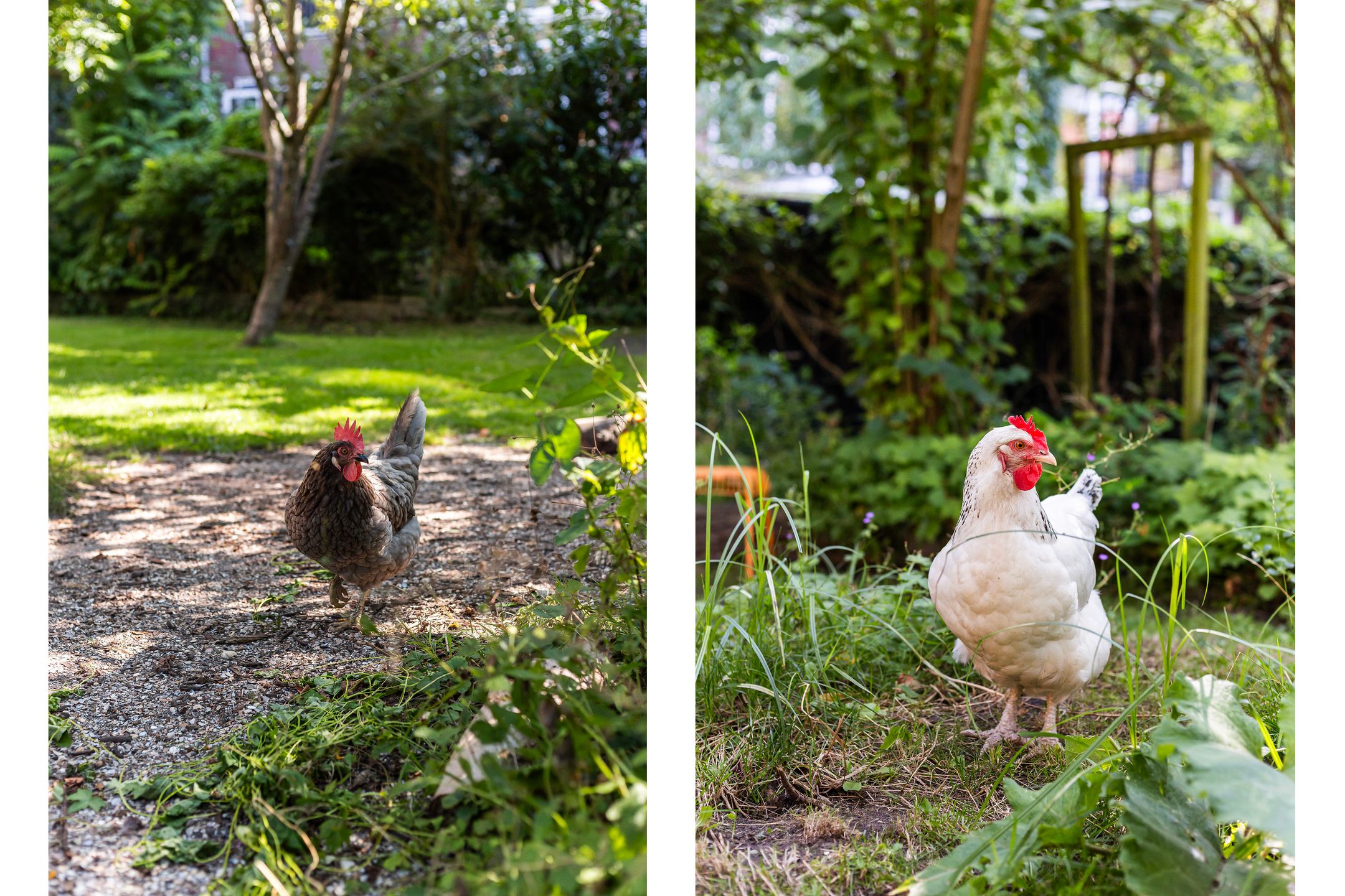 Foto 39 van Tolhuislaan 225