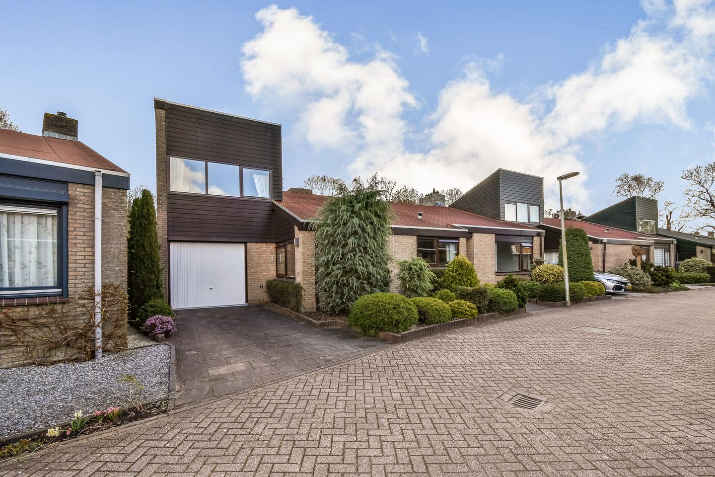 Foto 5 van de Ceder 6