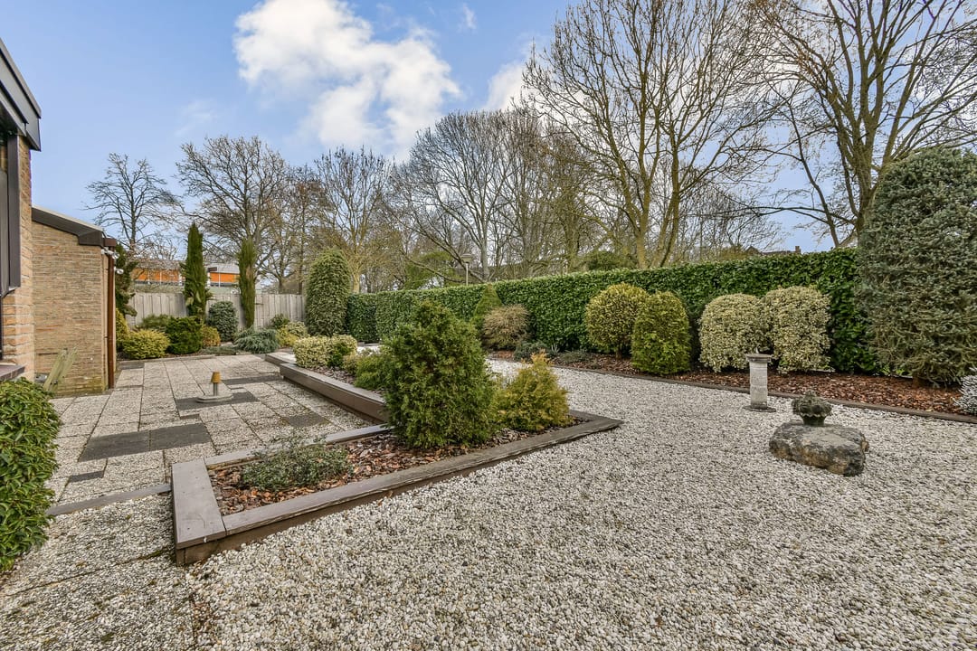 Foto 11 van de Ceder 6