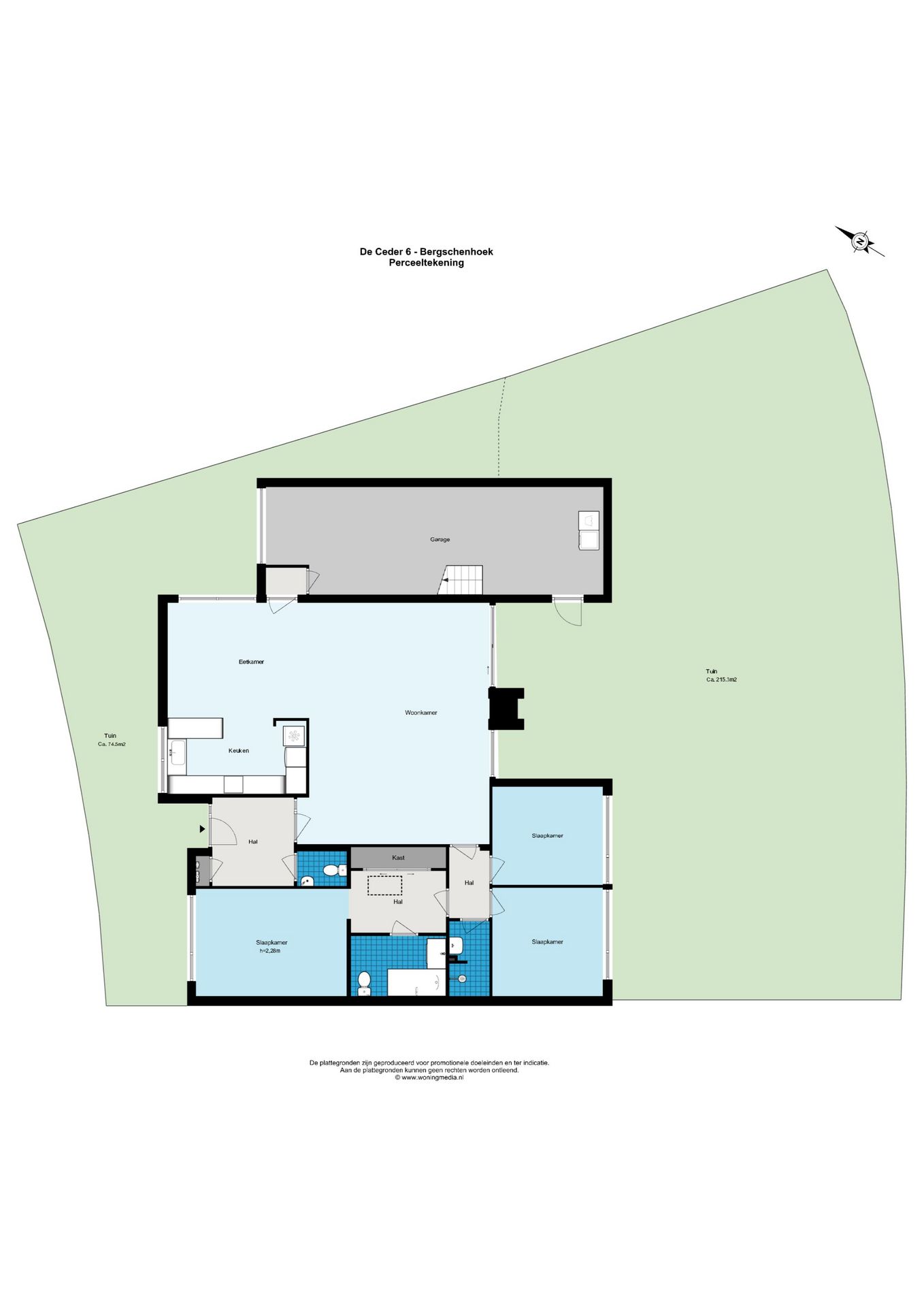 Foto 30 van de Ceder 6