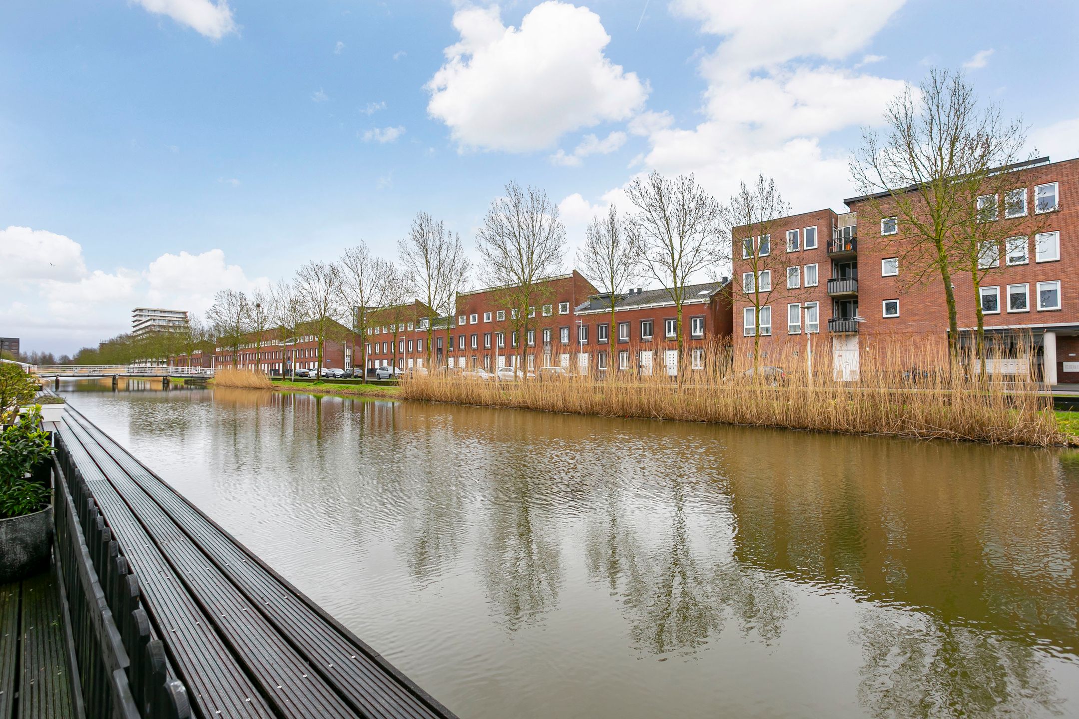 Foto 21 van Paul Burkhardplantsoen 38