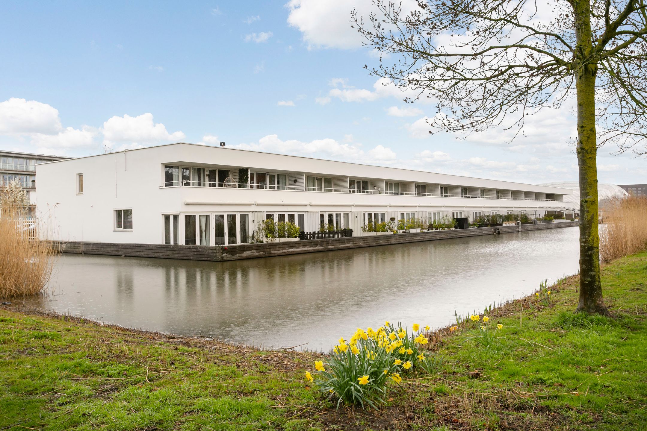 Foto 42 van Paul Burkhardplantsoen 38