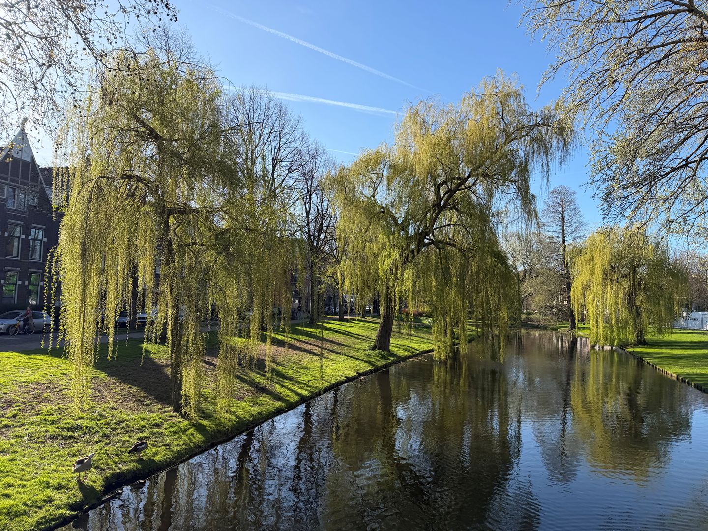Foto 10 van Mathenesserlaan 365-A