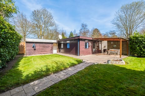 undefined main image