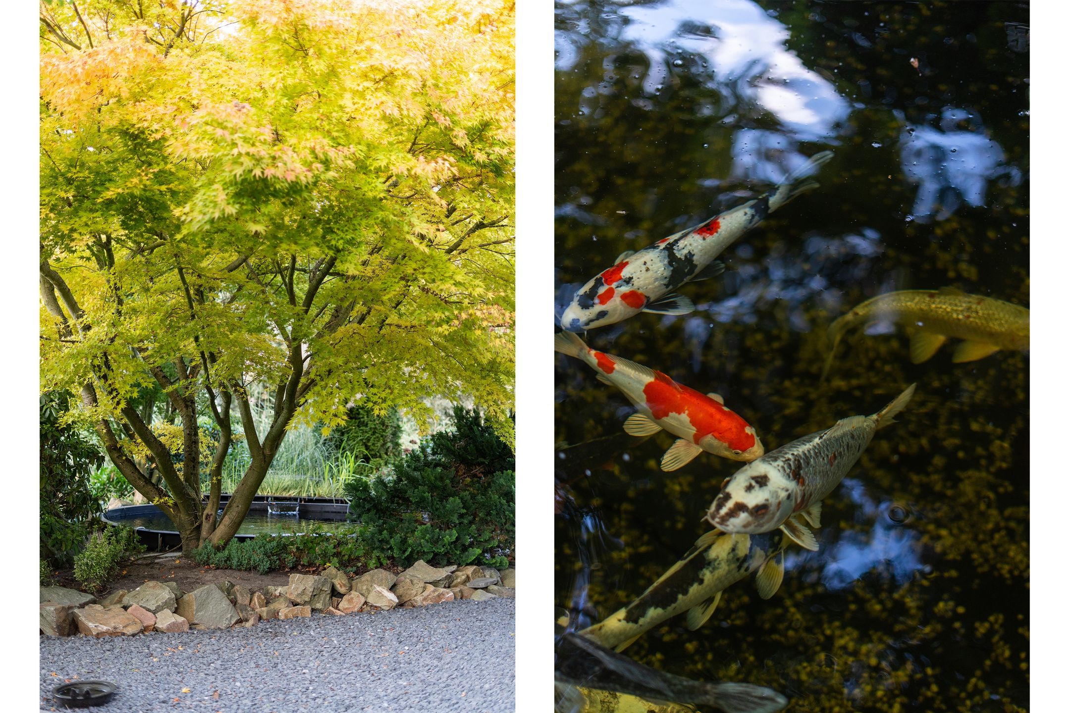 Foto 51 van 's-Gravenweg 724-J