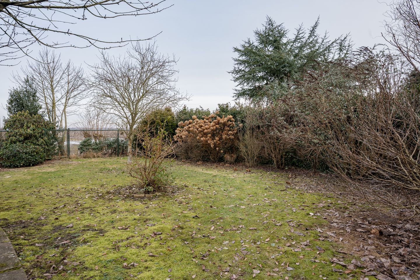 Photo 49 of Weerdingerkanaal NZ 64