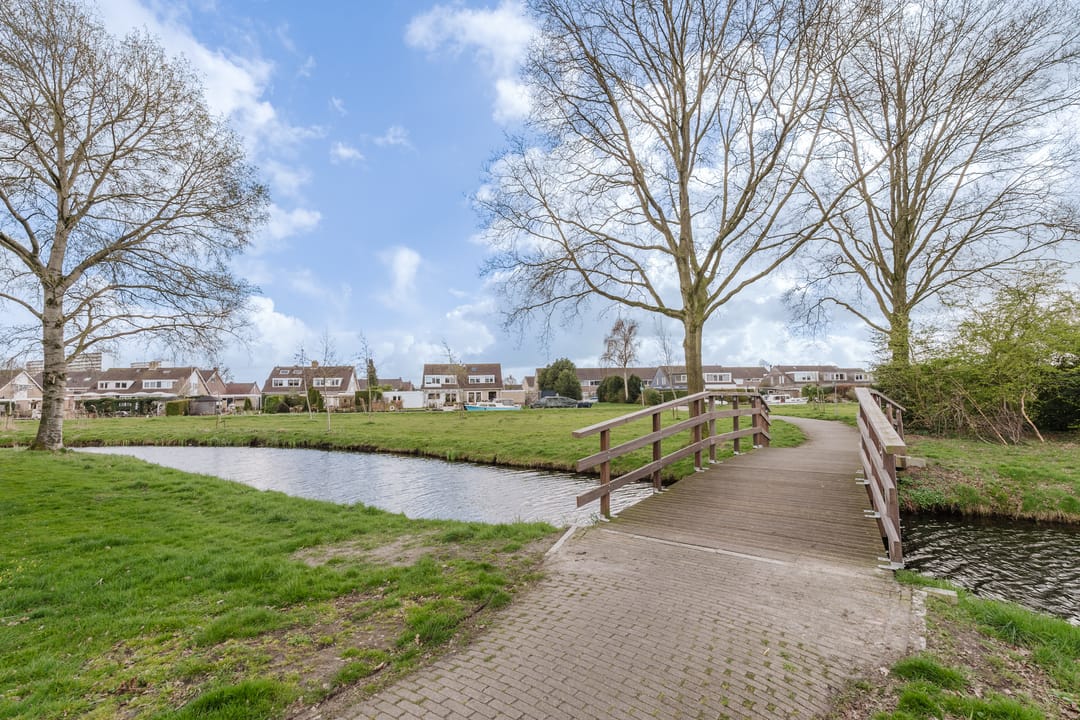 Foto 41 van Valeriaan 31