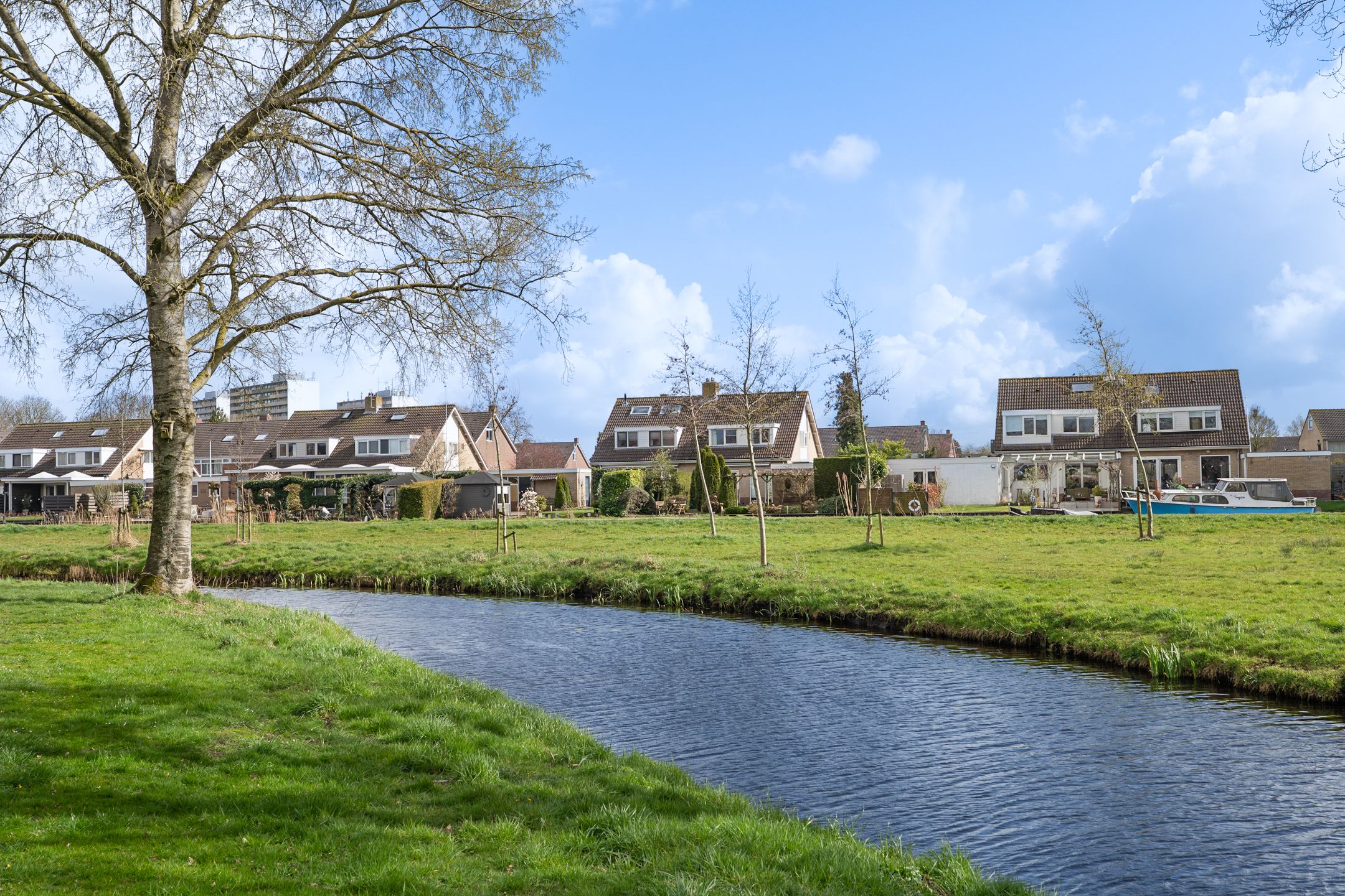 Foto 42 van Valeriaan 31