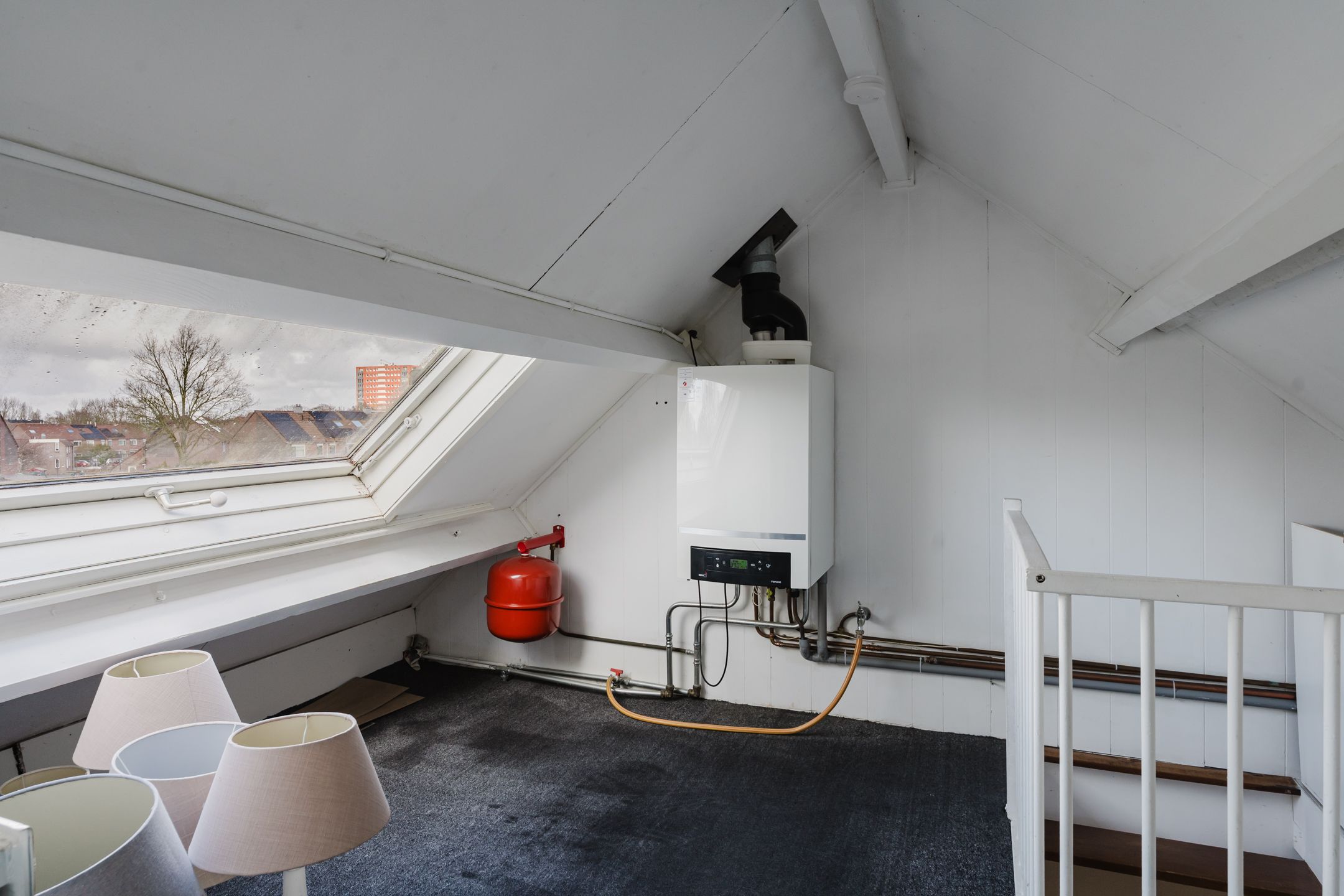 Foto 30 van Valeriaan 31