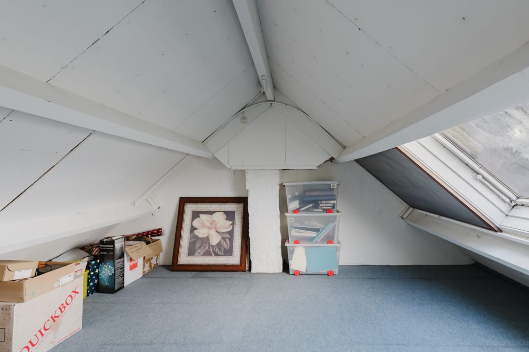 Foto 31 van Valeriaan 31