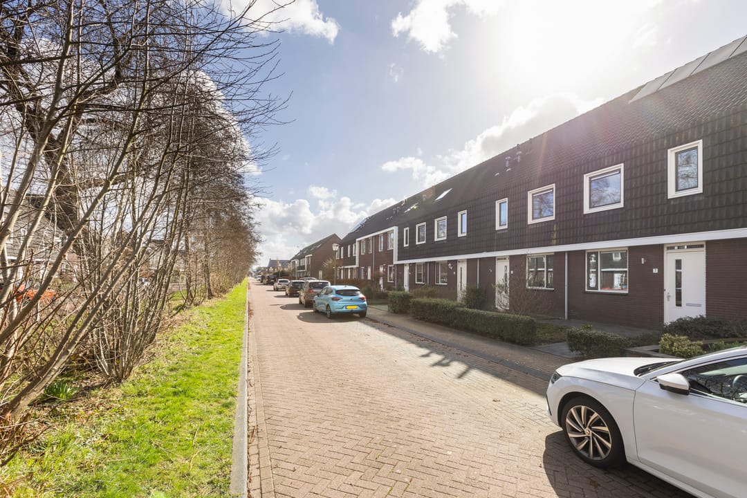 Foto 31 van Populier 7