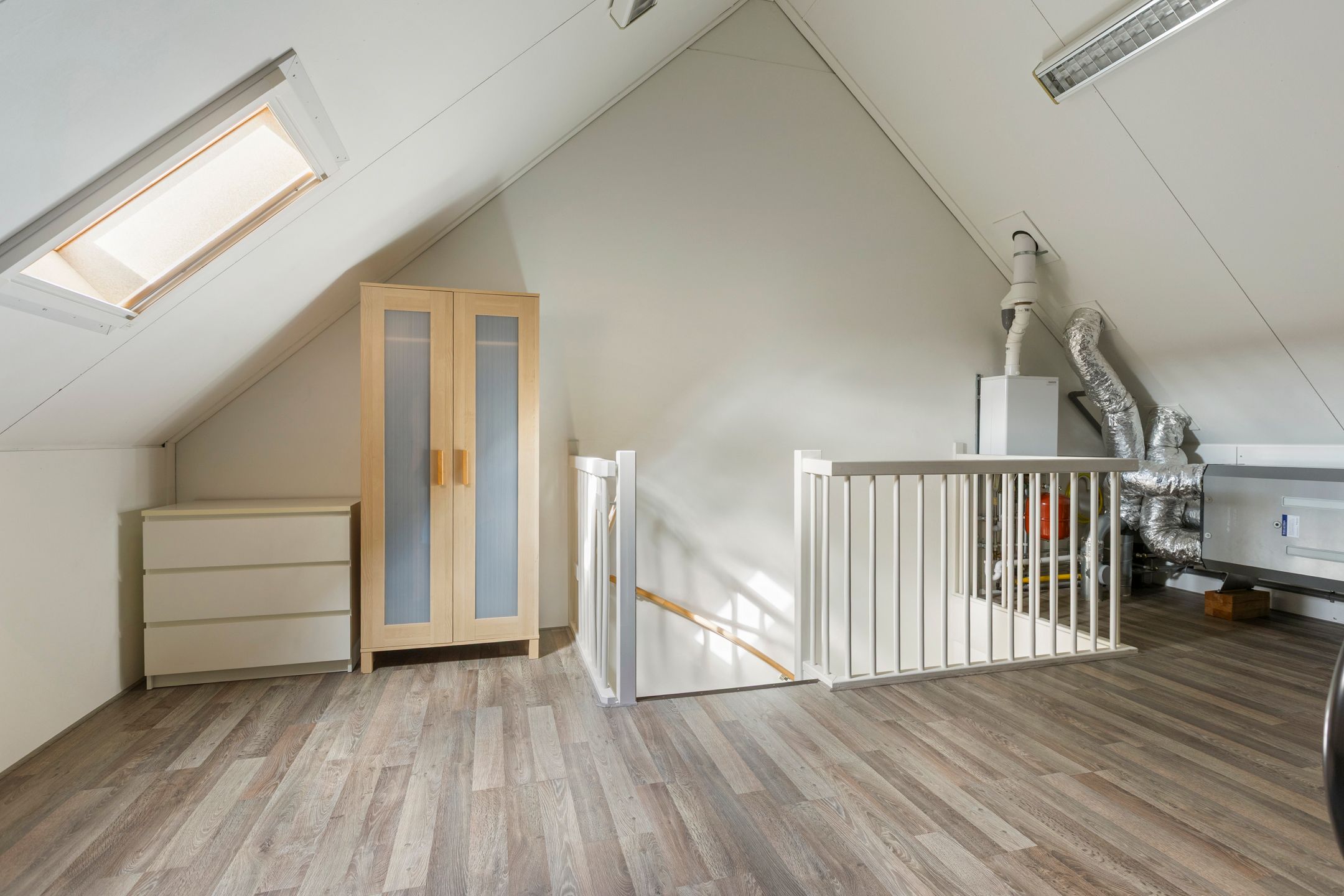 Foto 24 van Populier 7