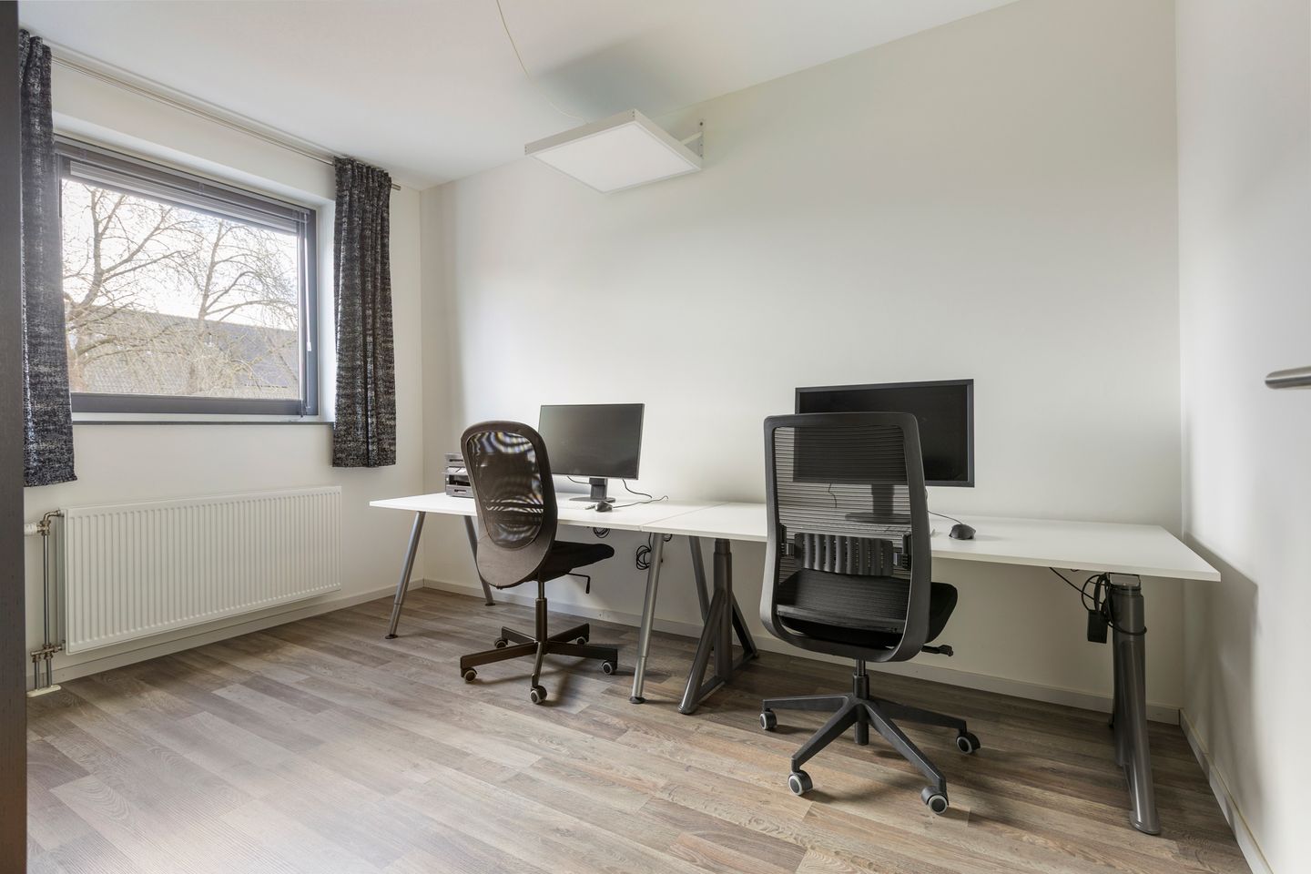 Foto 20 van Populier 7