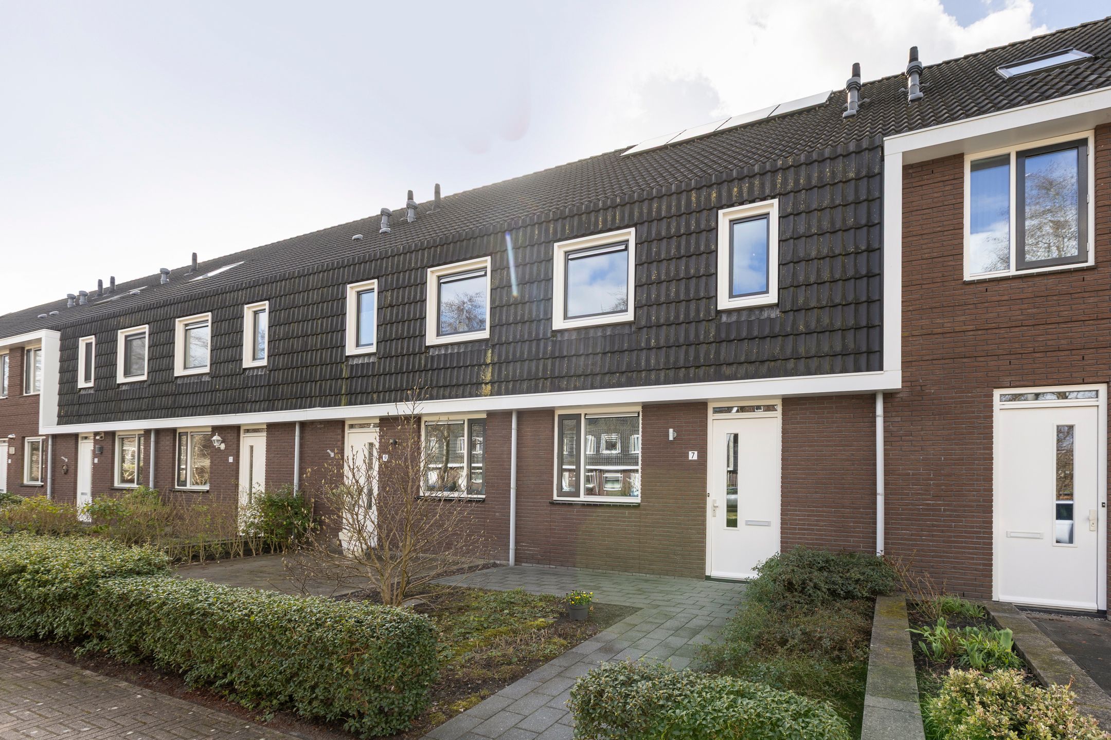 Foto 30 van Populier 7