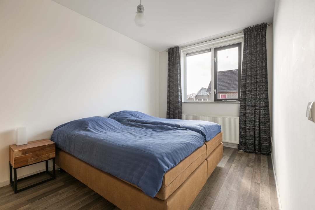 Foto 17 van Populier 7