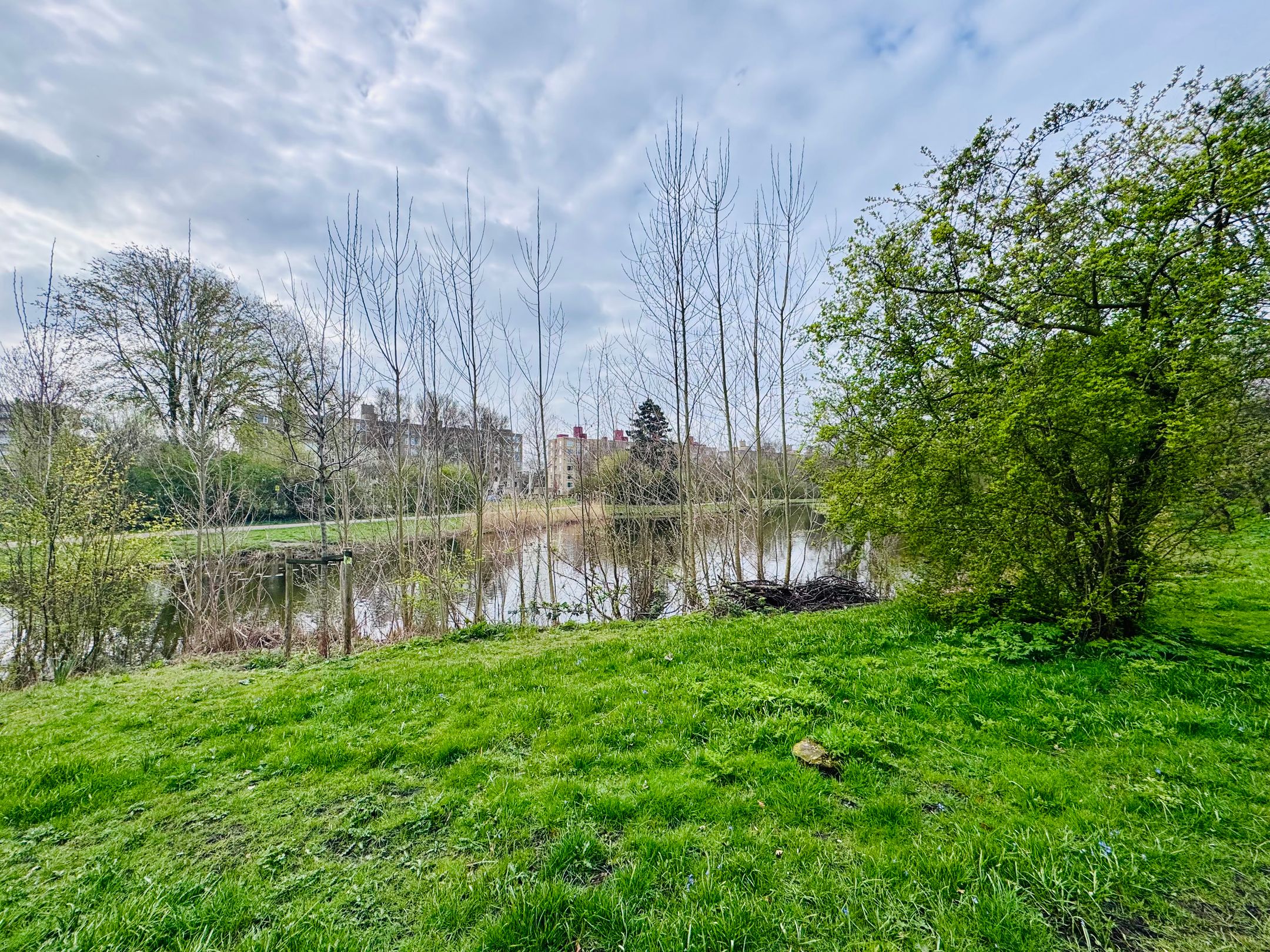 Foto 24 van Sportlaan 74