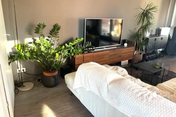 Foto 2 van Teakhout 68