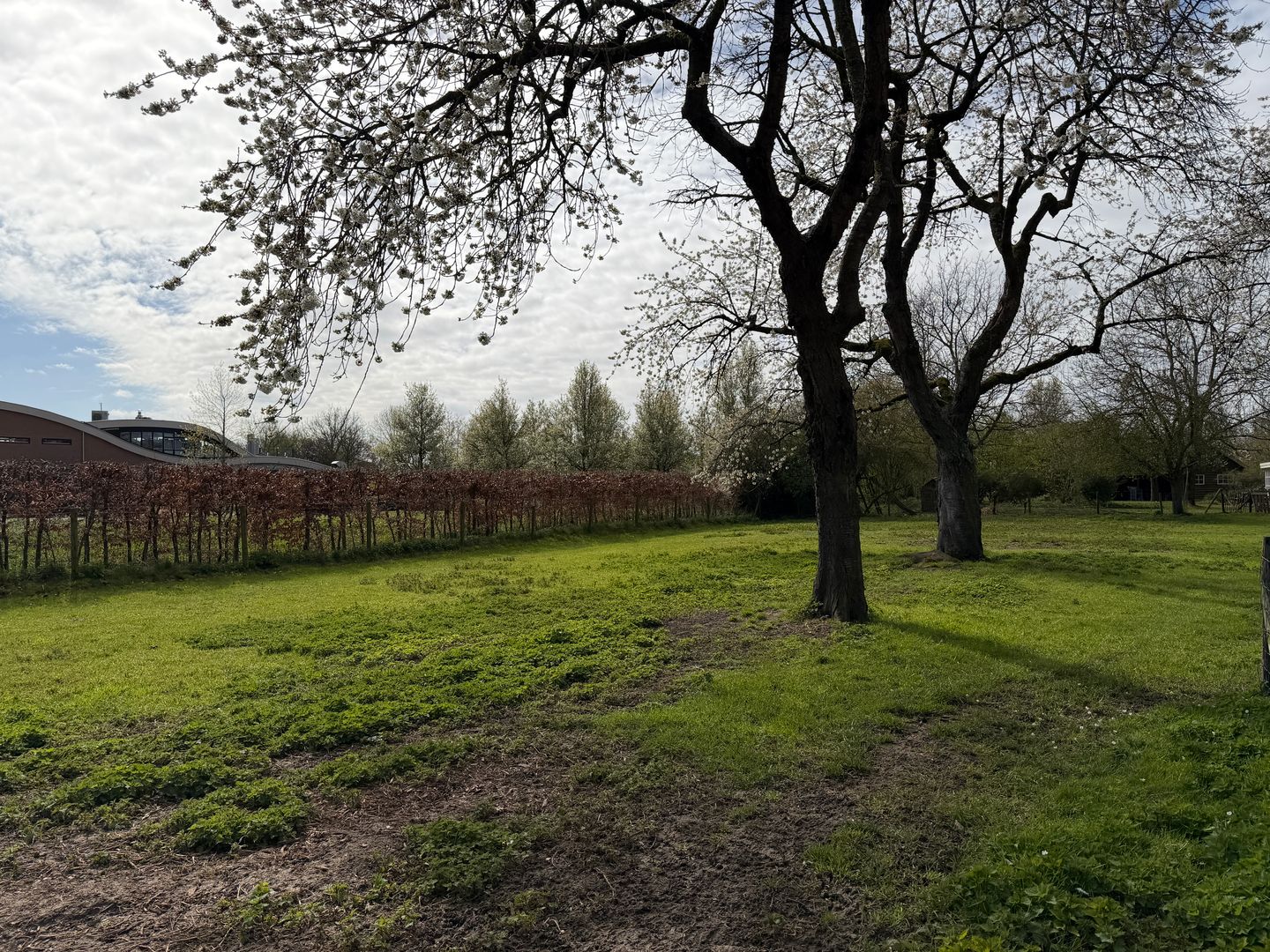 Bekijk foto 4 van Sportlaan