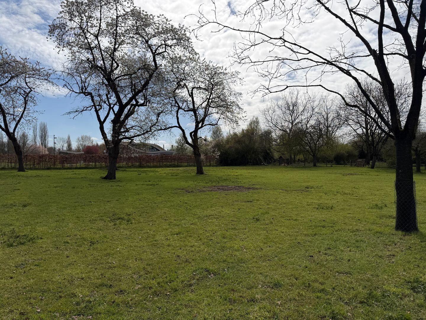 Bekijk foto 5 van Sportlaan