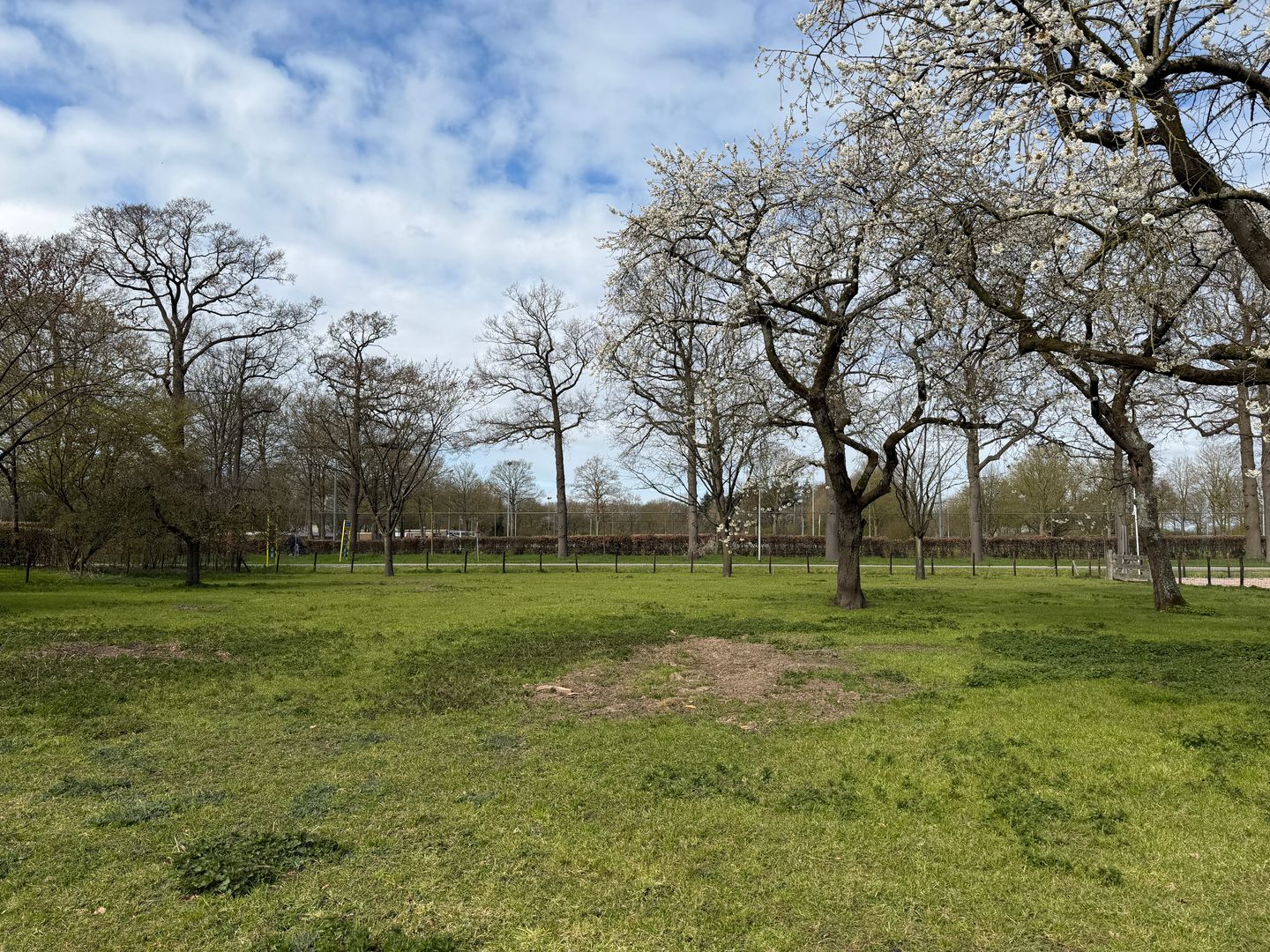 Sportlaan - Bunnik - Afbeelding 7