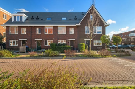 Gouden Harplaan thumbnail