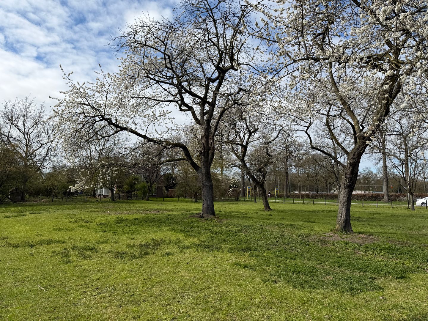 Bekijk foto 1 van Sportlaan
