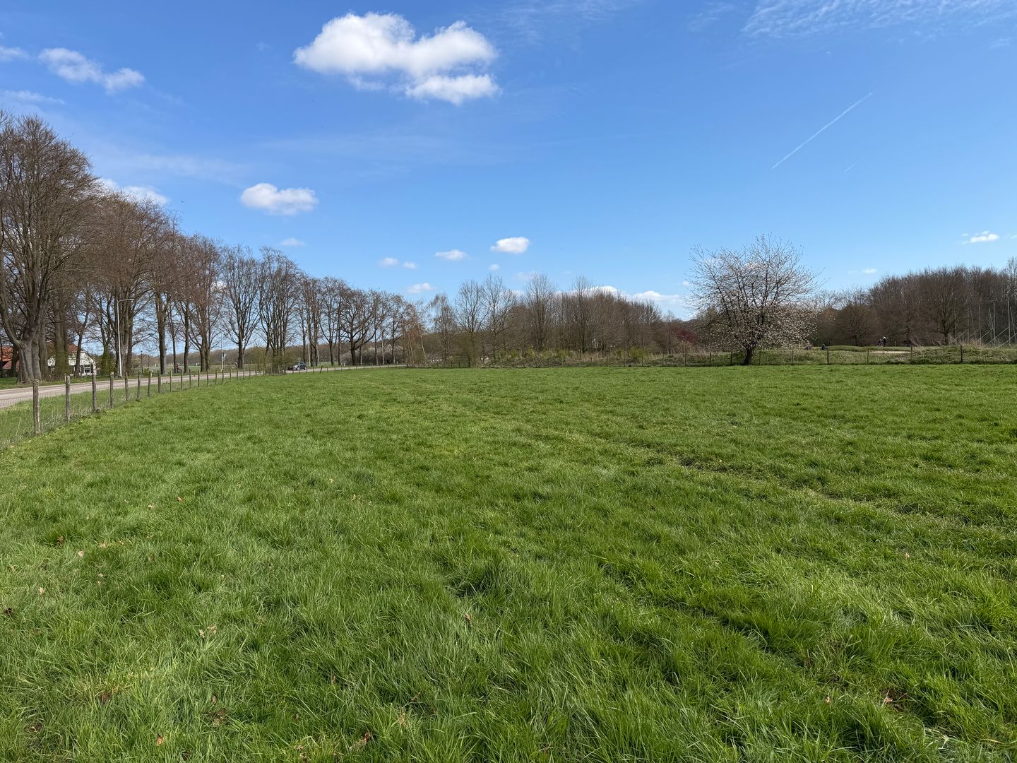 Bekijk foto 2 van Sportlaan