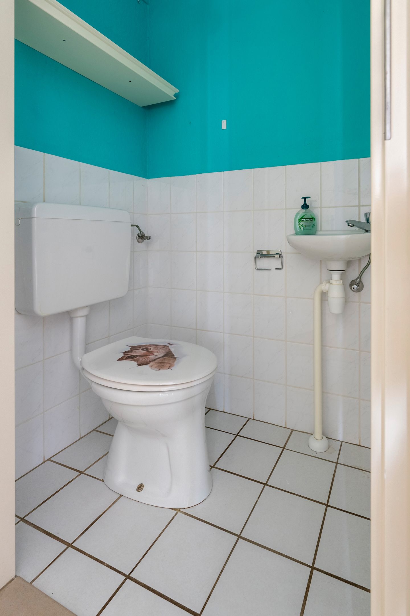 Foto 20 van Ganzenveld 50