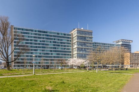 Bos en Lommerplantsoen thumbnail