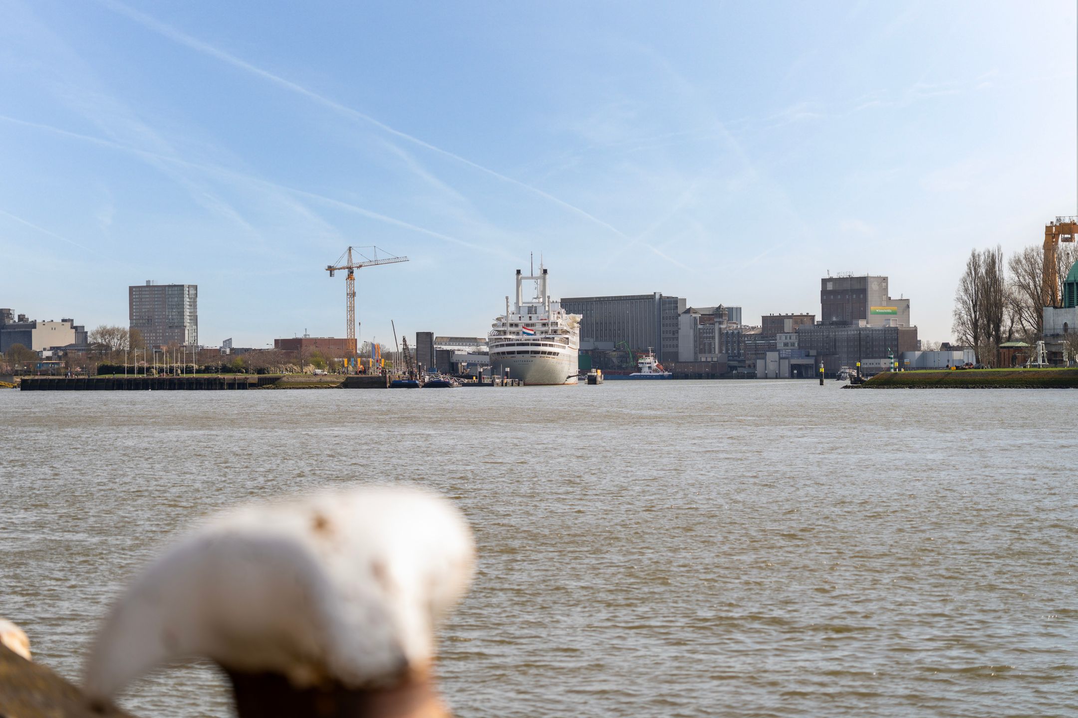 Foto 6 van Loods Bali 25