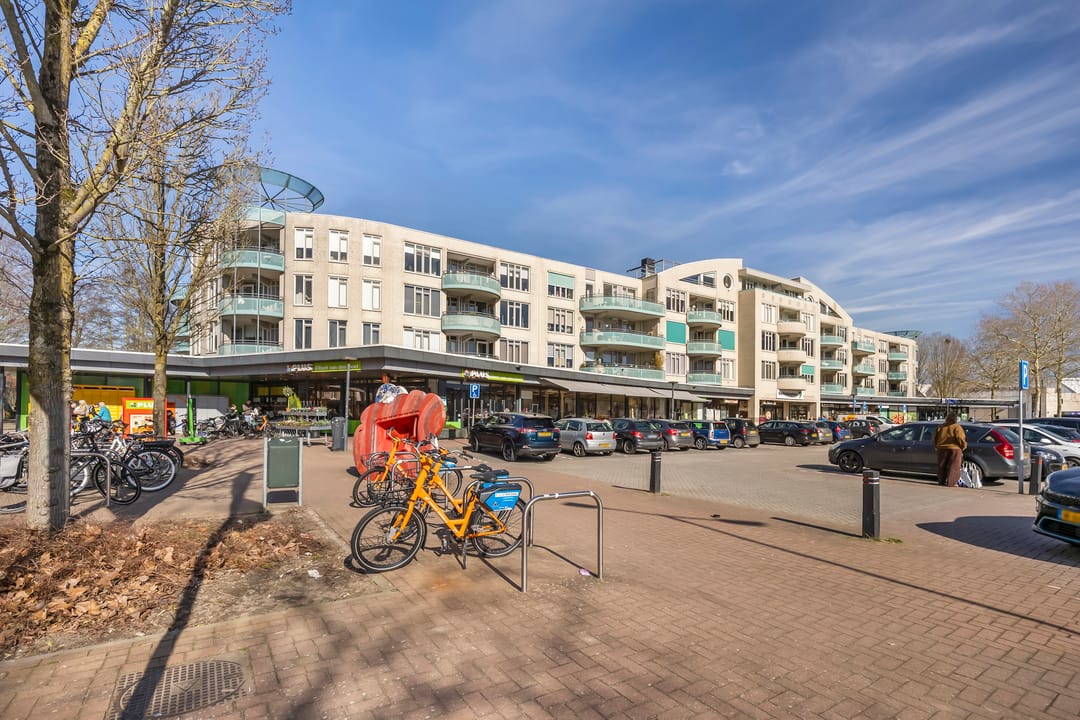 Photo 28 of Dr. H.B. Wiardi Beckmanplein 321