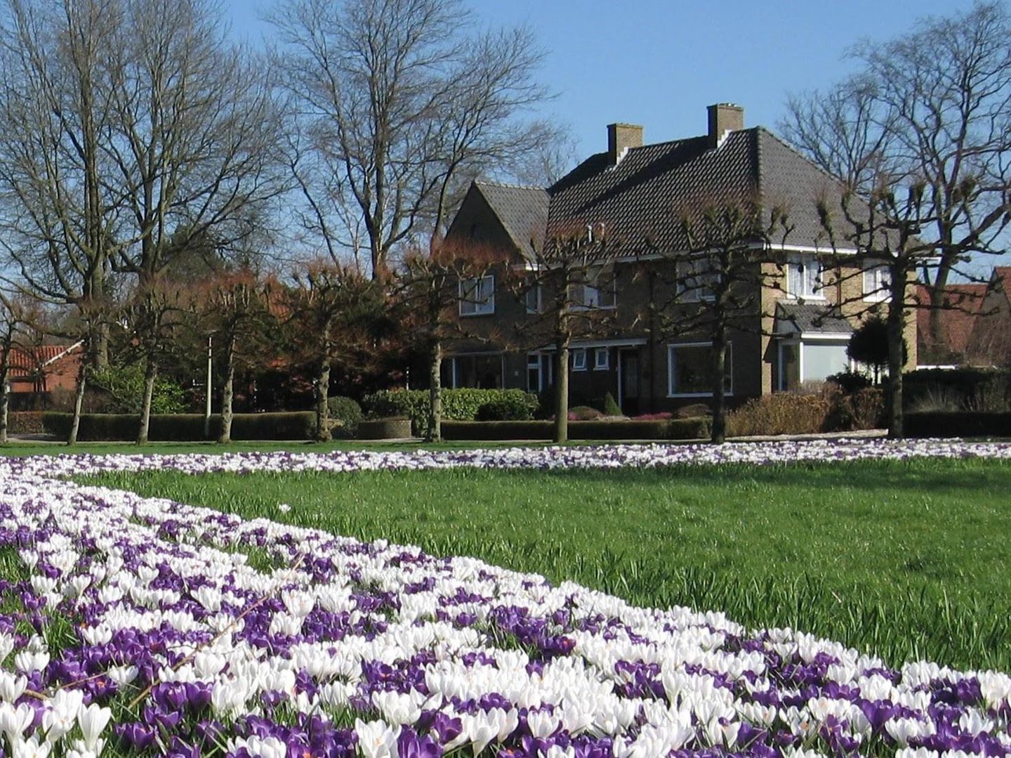 Photo 44 of Lokveenweg 31