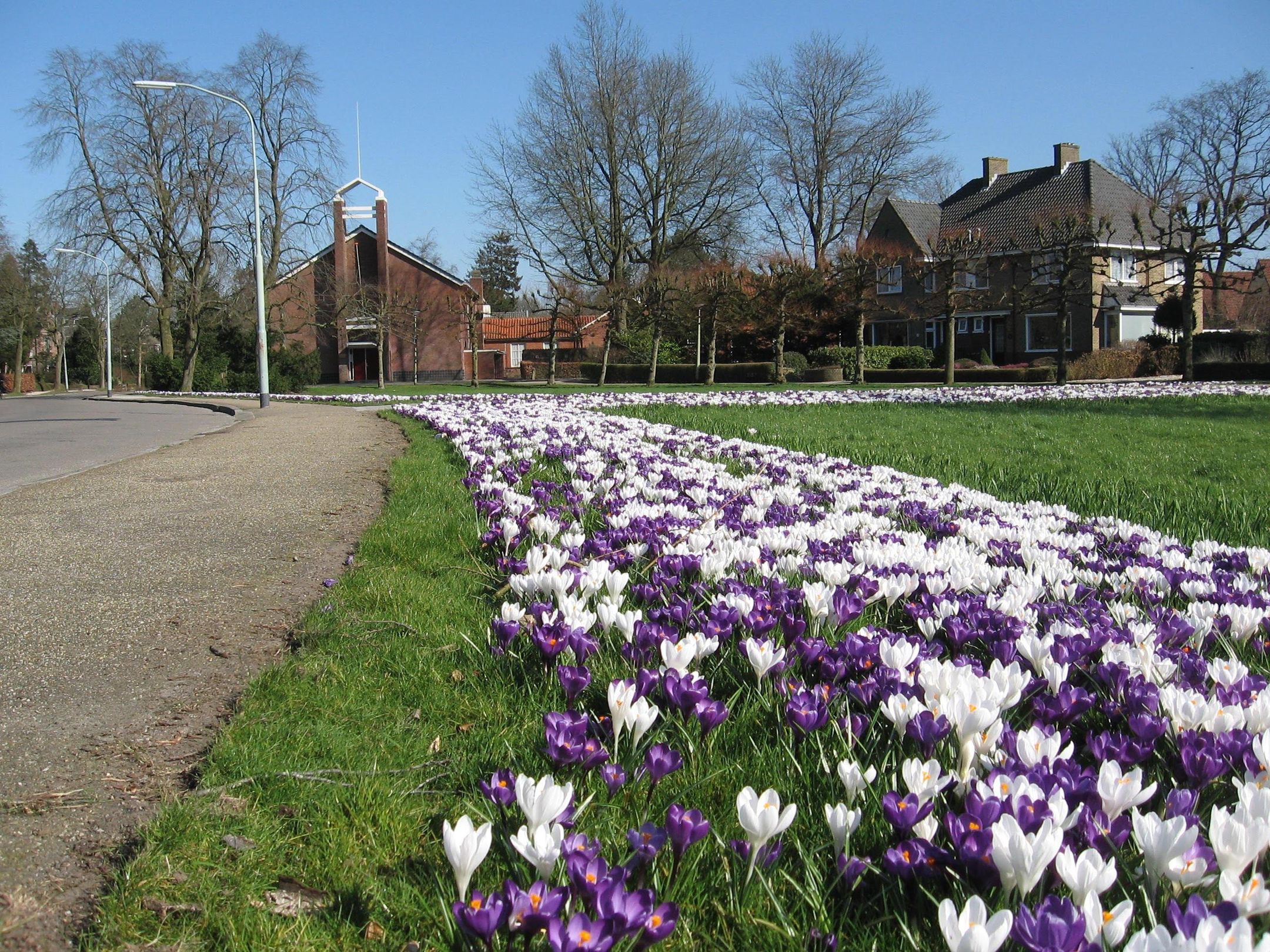 Photo 45 of Lokveenweg 31