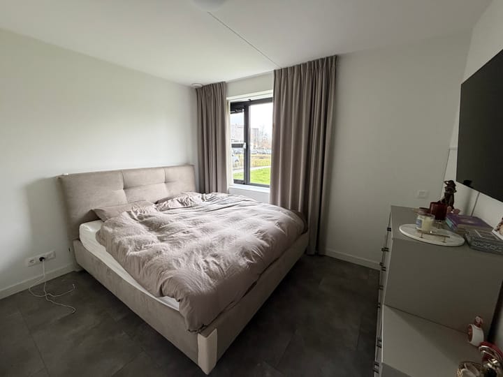 Foto 5 van P.C. Borstlaan 82