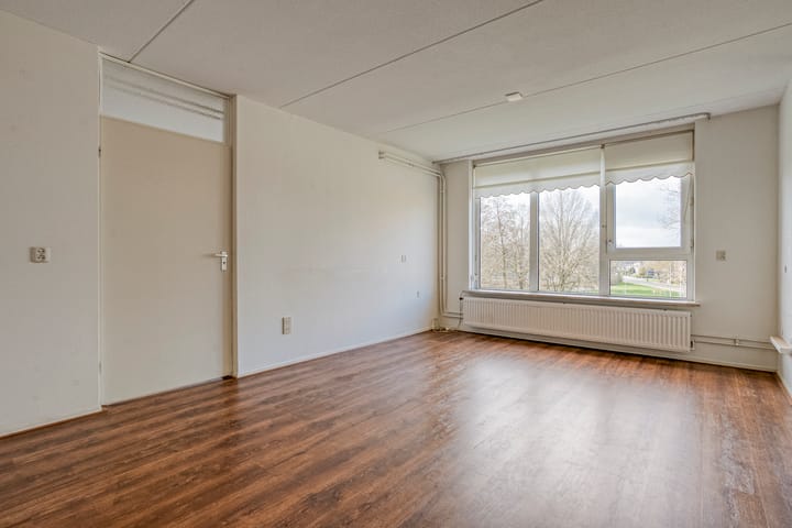 Foto 4 van van Gelderplantsoen 40