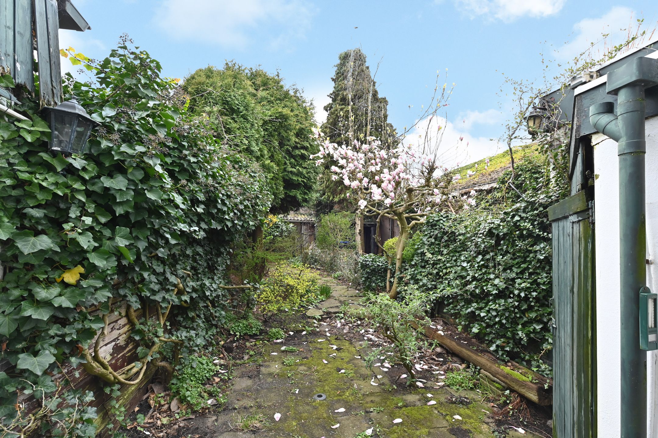 Foto 30 van Graaf Florisweg 80