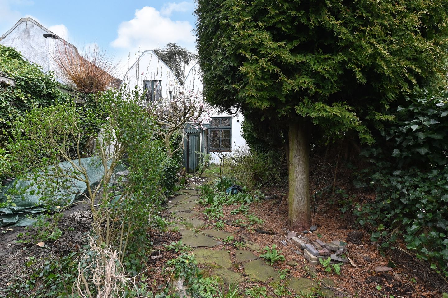 Foto 4 van Graaf Florisweg 80