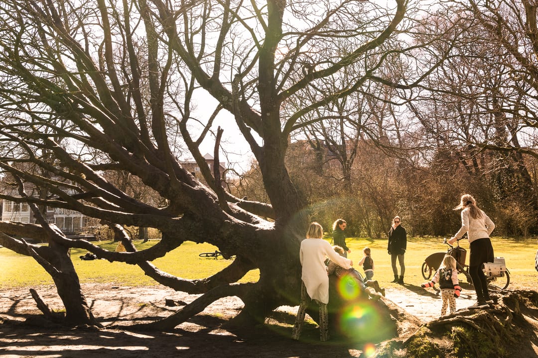 Foto 47 van Vondelstraat 138