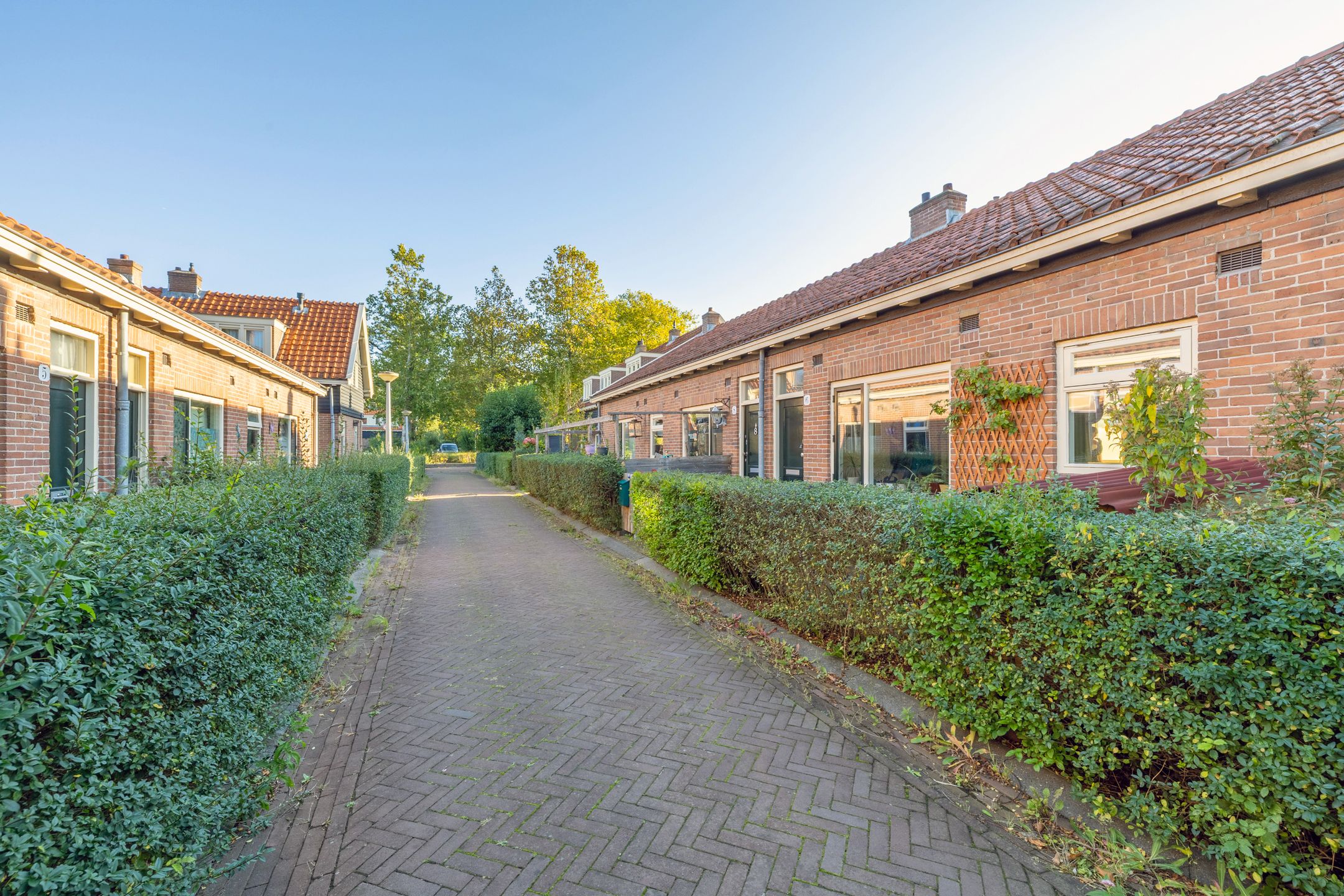 Photo 36 of Vijfde Vogelstraat 6