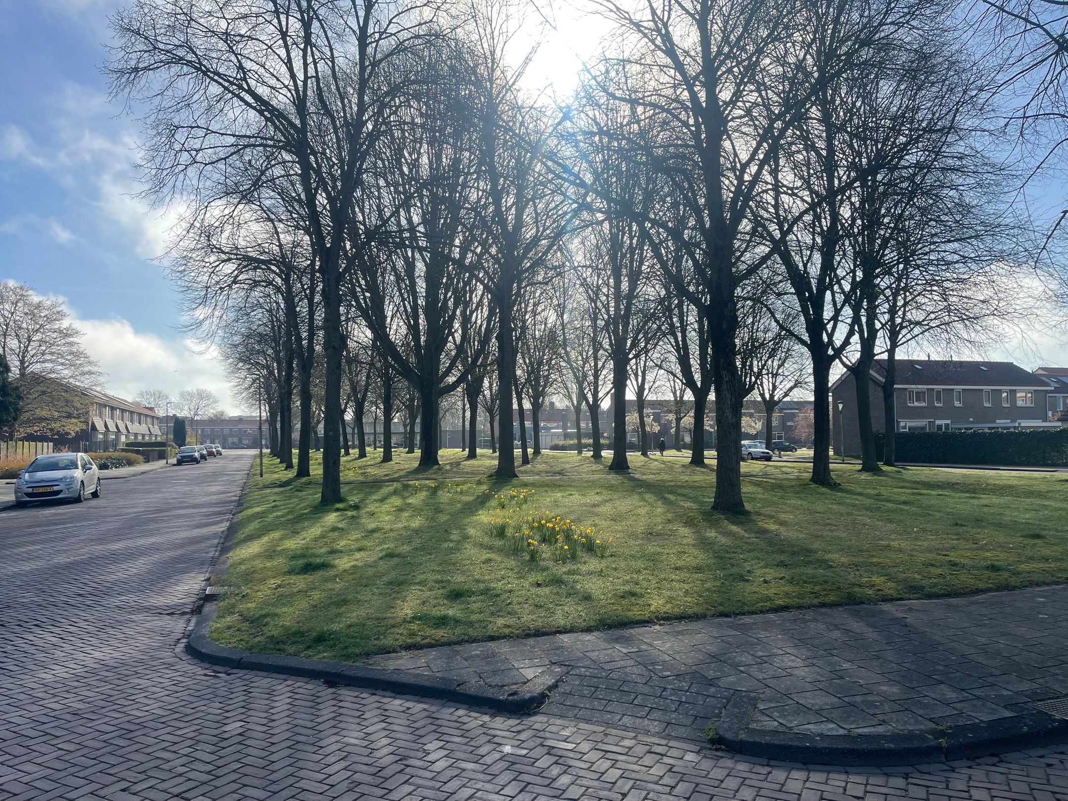 Foto 39 van Baskenstraat 7