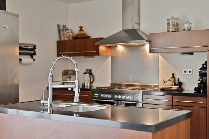 Foto 2 van Schildruwe 8