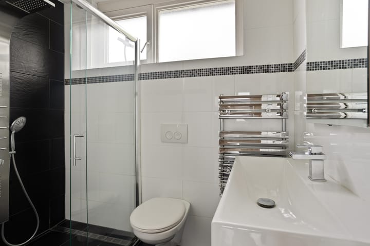 Foto 5 van Schildruwe 8